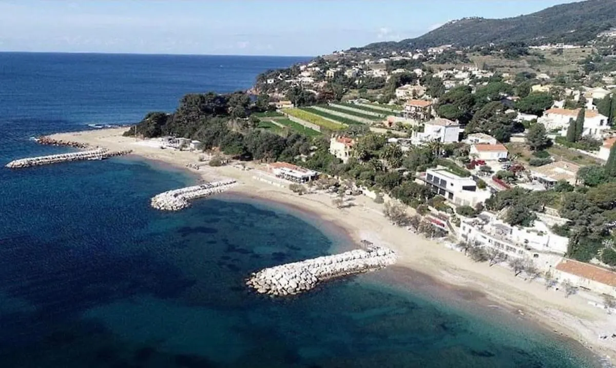 Le California - Port De Carqueiranne Et Plages